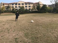 -上海崇明金茂凯悦酒店