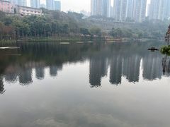 -重庆彩云湖湿地公园