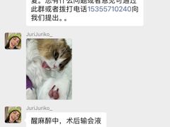 -四月宠物医院·猫专科·心脏专科·内科(转塘店)
