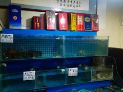 水产区-云南巷海鲜大咖·可加工海鲜