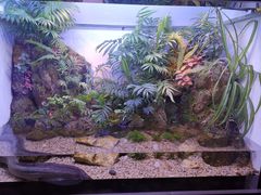 -上海海洋水族馆