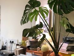 -本無咖啡·BeanWood Coffee