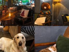 -咖法森林·咖啡  酒吧(天河店)