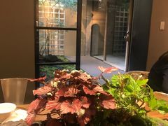 -微热山丘(台北民生公园门市店)