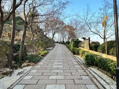 -青岛海滨风景区小鱼山
