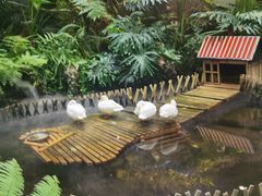 -凯德广场(学府店)