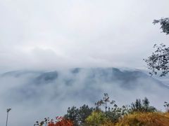 -铁山坪森林公园