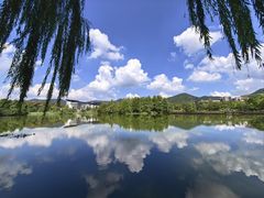 -浙江农林大学(东湖校区)