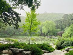 -香山公园