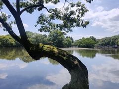 -西湖游船