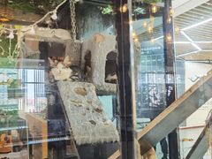 -弓舍射箭俱乐部(高新总店)