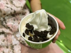 -Salud撒露欧洲冻酸奶(蓝色港湾店)