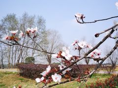 -中国天府农业博览园