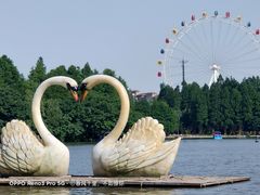 -上海野生动物园