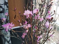 -团泊镇示范集贸市场