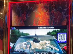 -萧邦音乐会所KTV·蒸汽活海鲜自助(福田店)