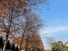 -太阳岛度假酒店