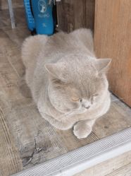 -青木造型HAIR·あおき髪を刈る潮人店