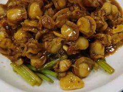 滋味小扇贝-宝发园名菜馆