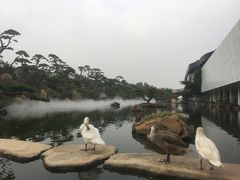 -罗红摄影艺术馆