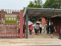 -观潮胜地公园