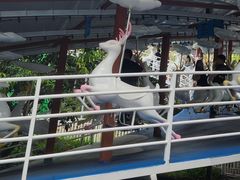 -盈香心动乐园