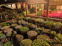 -山菌美食苑(振兴路店)