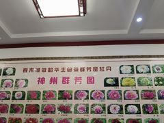 -神州牡丹园