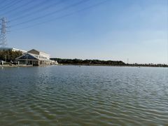 -盐城丹顶鹤湿地生态旅游区