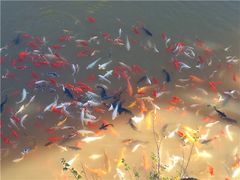 -世界恐龙谷景区