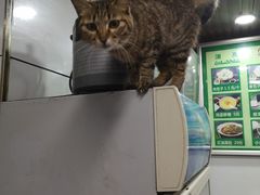 -郑家包子牛肉拉面(尚勤路店)