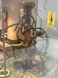 -Zoolung Zoolung动物主题公园(海信广场店)