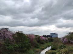 -广东花都湖国家湿地公园