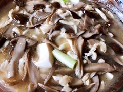 -天回镇何氏豆腐(总店)