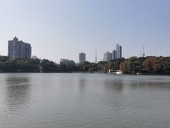 -鹿鸣酒家(越秀店)
