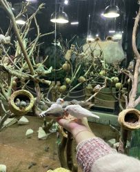 -Zoolung Zoolung动物主题公园(海信广场店)