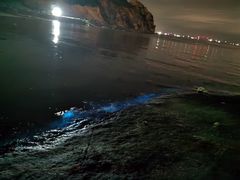 -坛南湾阿强农家乐.海鲜大排档老字号(福州地标美食店)