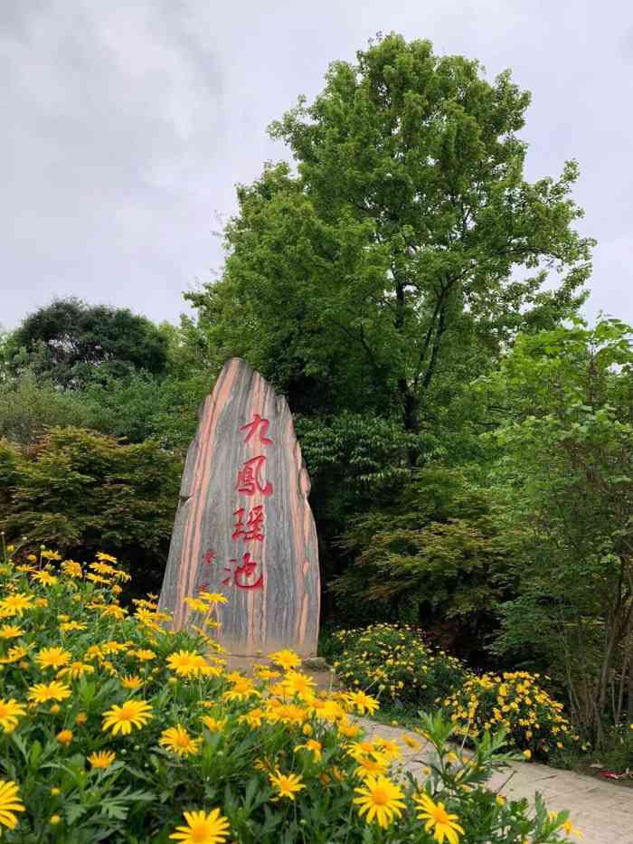 九凤山生态旅游区-"重庆高新区九凤山每年一度的梨花节,今年受.