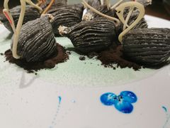 -春申里餐厅(银泰in99店)