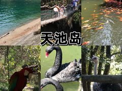 -千岛湖东南湖区