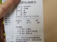 -伟伟宠物医院·瑞派猫友好医院·猫科(光谷店)