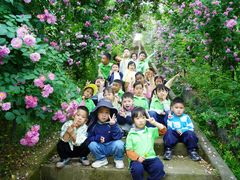 -宾果蒙特梭利托育儿童之家幼儿园(爱琴海店)