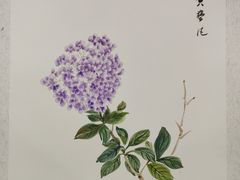 -学知乐教育·幼小衔接·小学科辅导(嘉定镇校区)