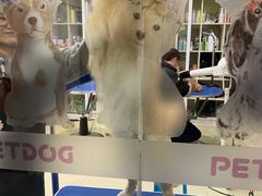 -牧马人宠物医院