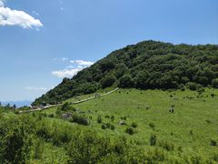 -白草畔自然风景区