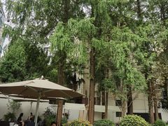 -一尺花园(安和花园店)