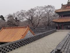 -北陵公园