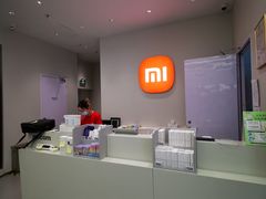 -小米之家汽车(永旺梦乐城店)