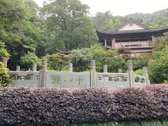 -十八棵（老龙井）御茶园(老龙井店)