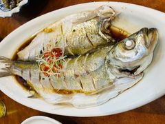 清蒸鲜白鱼-西新饭店(城中店)